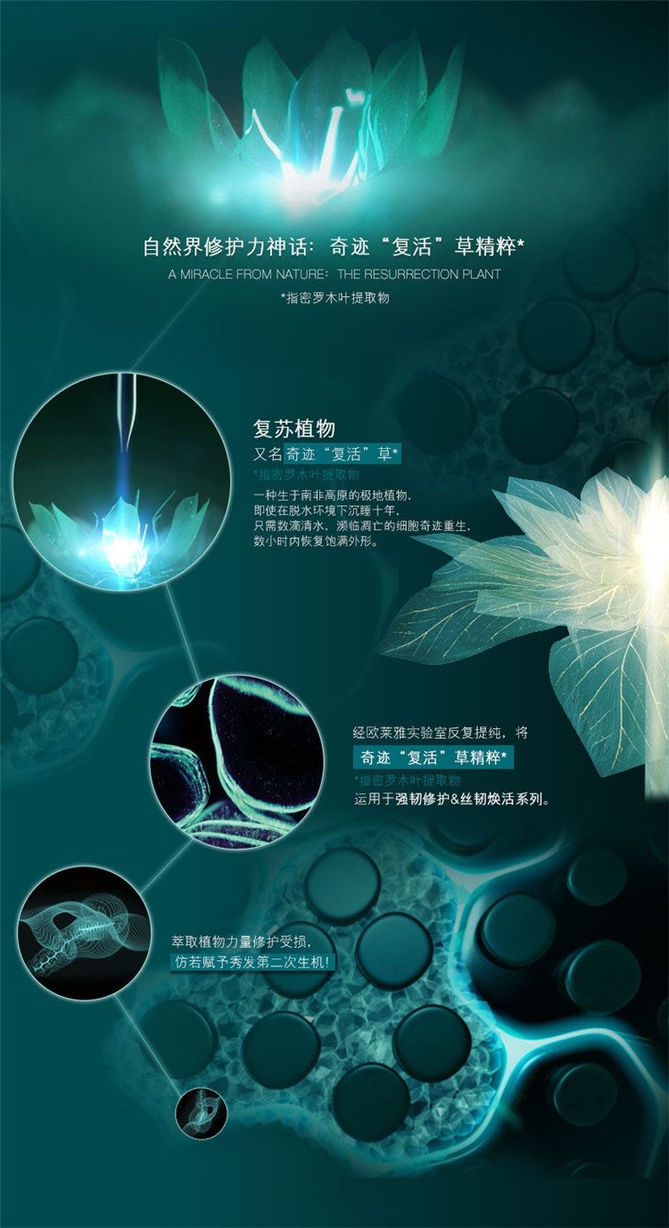 商品Kérastase|卡诗强韧养护发膜200ML,价格¥339,第4张图片详细描述