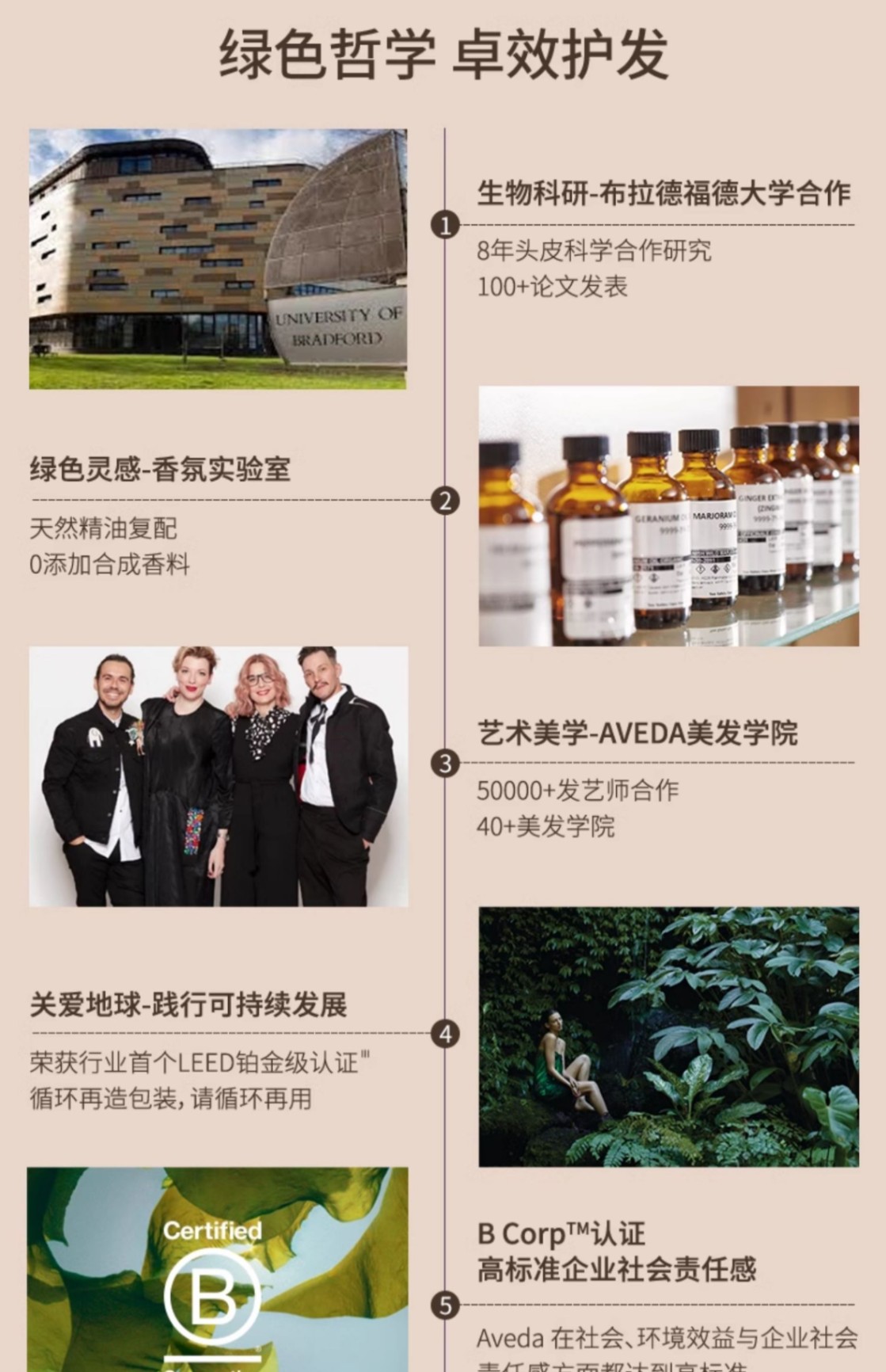 商品【原封正品】 Aveda|Aveda艾梵达 头皮按摩气垫梳蓬松造型气囊按摩梳 25cm经典款,价格¥89,第15张图片详细描述