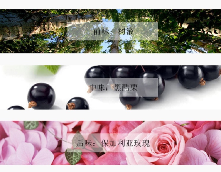 商品Diptyque|Diptyque蒂普提克影中之水淡香水100ml,价格¥784,第4张图片详细描述