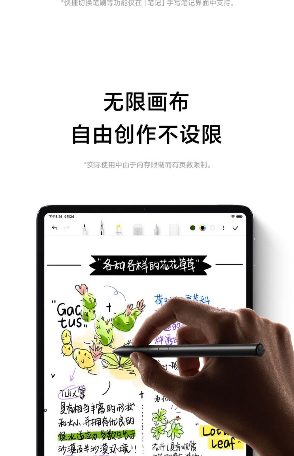 商品[国内直发] XIAOMI|小米平板5骁龙学生学习绘画商务办公游戏娱乐高清护眼平板电脑,价格¥3451,第22张图片详细描述