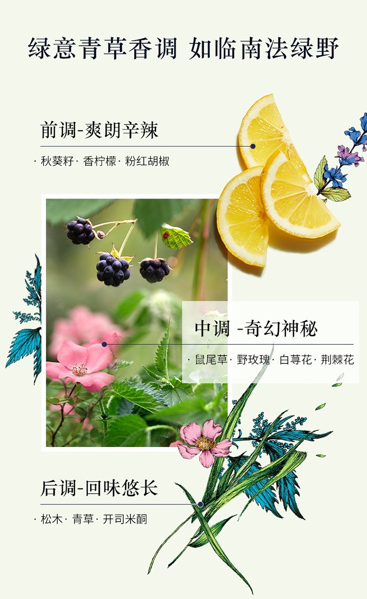 商品L'Occitane|L'occitane欧舒丹绿野奇境草本植物沐浴露250ml,价格¥150,第5张图片详细描述