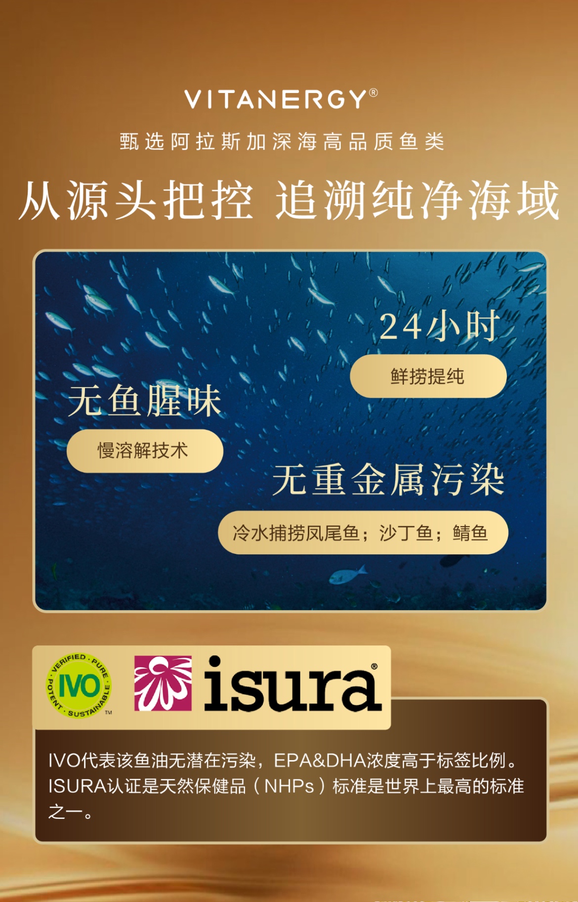 商品[国内直发] Vitanergy|【 2026年1月31日】加拿大维生能阿拉斯加多倍高效鱼油改善三高、疏通血管中老年90粒 | FISH OIL,价格¥99,第5张图片详细描述