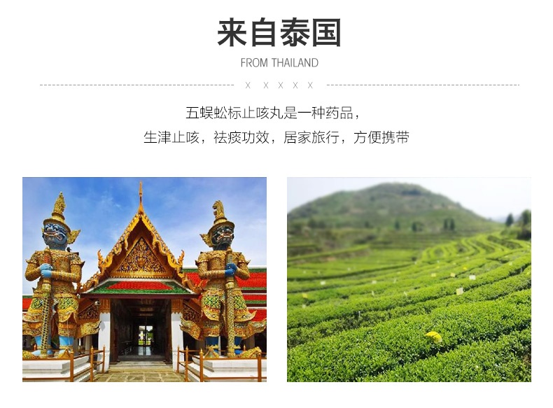 商品TAKABB|泰国 蜈蚣丸 泰版沈天河五蜈蚣标丸7g/瓶,价格¥68,第4张图片详细描述