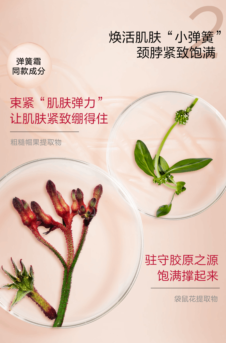 商品Clarins|Clarins娇韵诗紧肤肩颈霜75ML提拉紧致保湿舒缓滋润,价格¥542,第3张图片详细描述