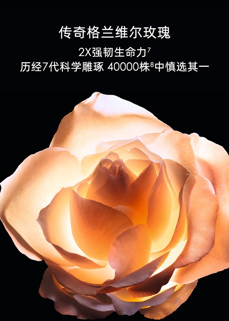 商品Dior|Dior迪奥花蜜活颜丝悦霜状按摩眼霜15ML,价格¥1779,第4张图片详细描述