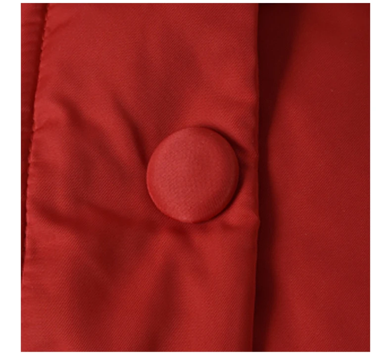 商品Emporio Armani|EMPORIO ARMANI 女士红色聚酯纤维填充连帽中长款棉服 6Z2L67-2NAGZ-0341,价格¥1938,第6张图片详细描述
