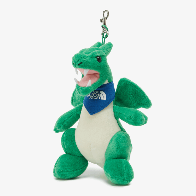 商品The North Face|【Brilliant|北面特惠】北面儿童欢乐学校包 KIDS DELIGHT SCH PACK GREEN NM2DQ01S,价格¥1054,第13张图片详细描述