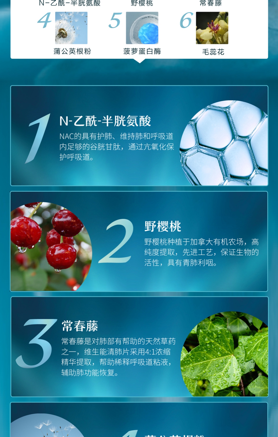 商品[国内直发] Vitanergy|【2025年1月到期】加拿大Vitanergy维生能清肺片 清肺止咳 化痰疏通 缓解呼吸道肺部问题 90粒 | Lung Support,价格¥59,第7张图片详细描述