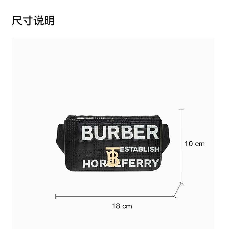 商品Burberry|BURBERRY 女士黑色印花字母腰包 8032204,价格¥4834,第1张图片详细描述