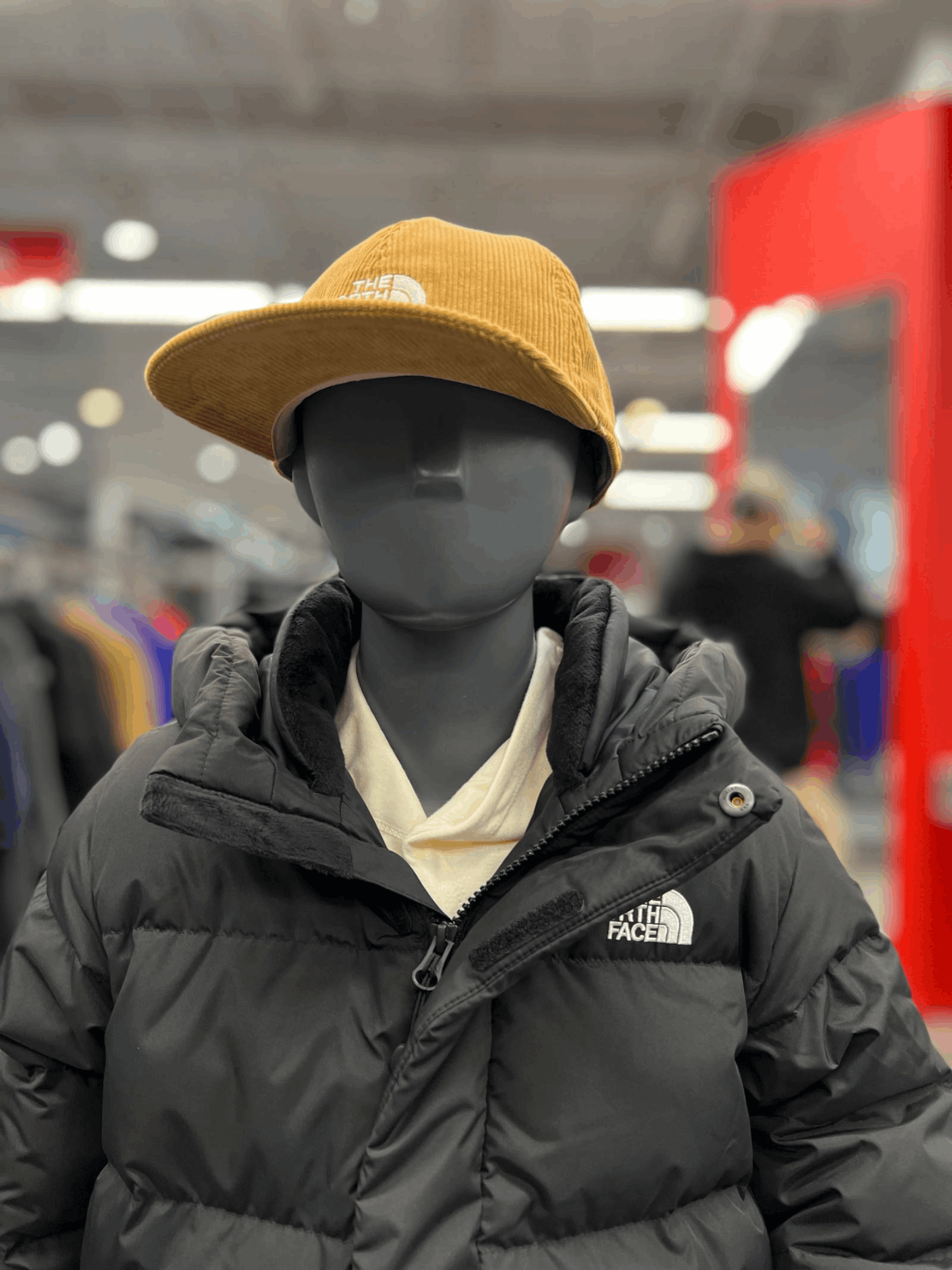 商品The North Face|【Brilliant|包邮包税】北面 运动户外 NJ1DM50S 儿童 NEO EXPLORING 羽绒服 外套 KIDS NEO EXPLORING DOWN,价格¥1603,第4张图片详细描述