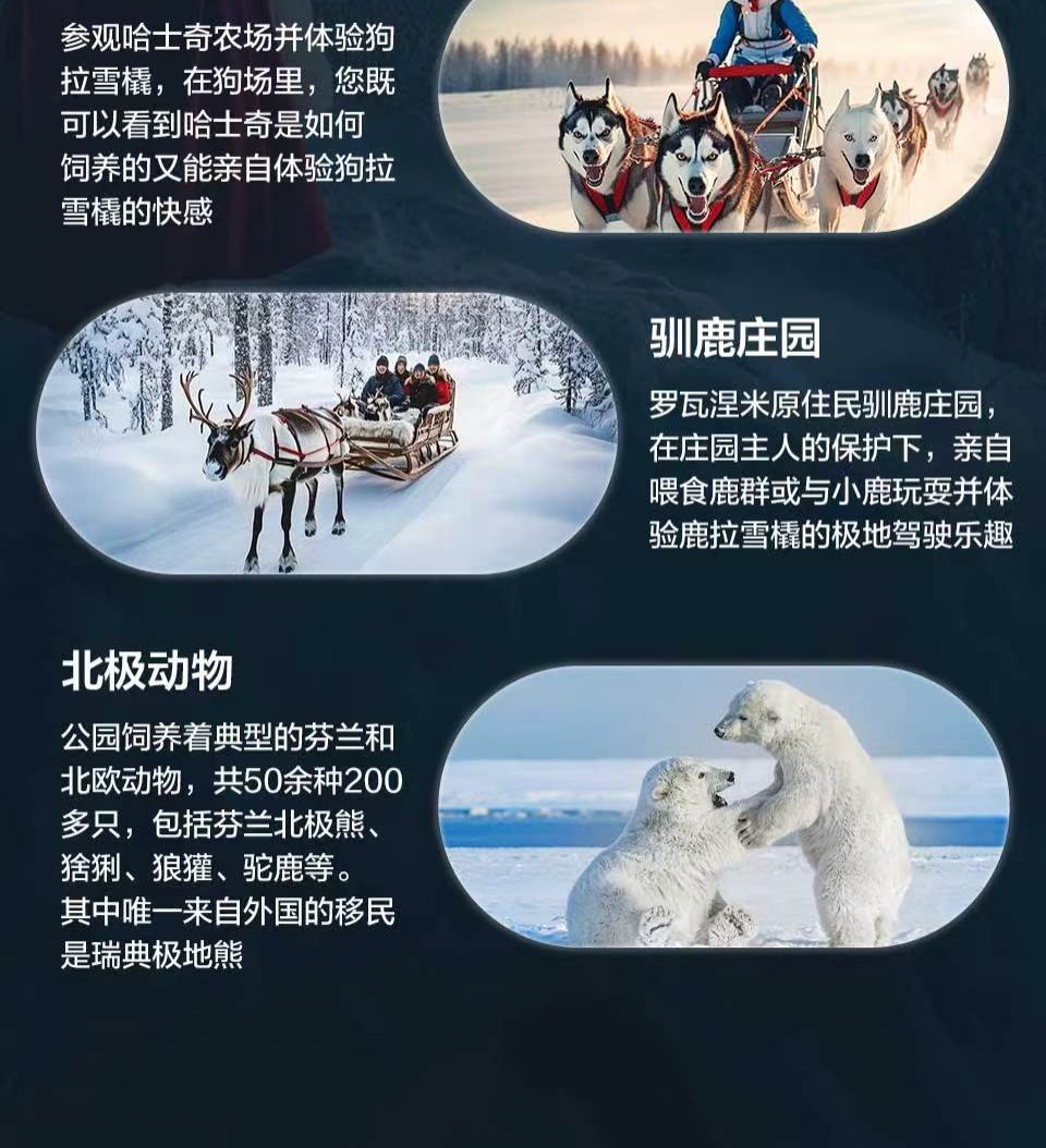商品[国内直发] Beyond Global Travel|一场绚烂的夜空盛宴 芬兰一地一价全含8日 升级海边玻璃别墅 下单后由别样微信客服对接,价格¥38527,第13张图片详细描述