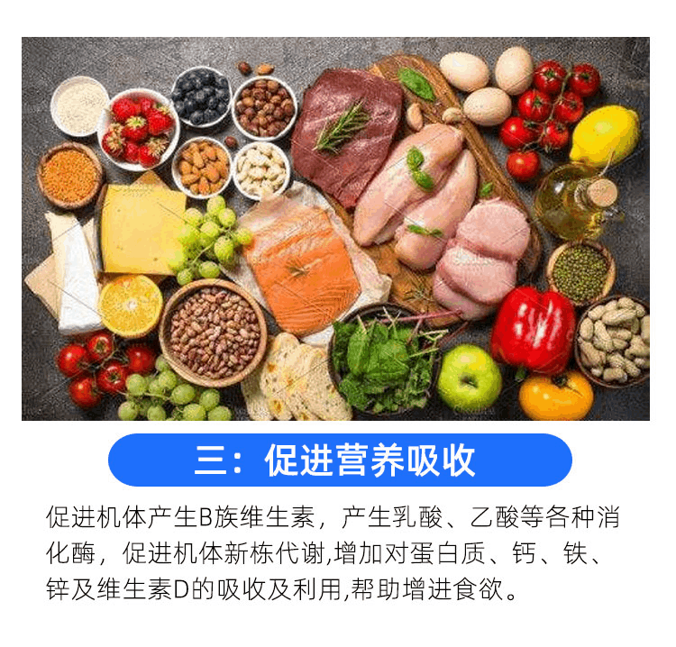 商品Life Space|澳洲Life Space60+老人益生菌60粒调理老年人肠道免疫力含益生元,价格¥181,第6张图片详细描述
