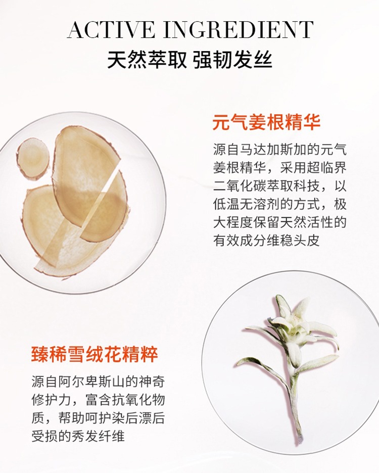 商品Kérastase|KERASTASE卡诗元气姜奶瓶盈润洗发水250ml/500ml,价格¥234,第6张图片详细描述