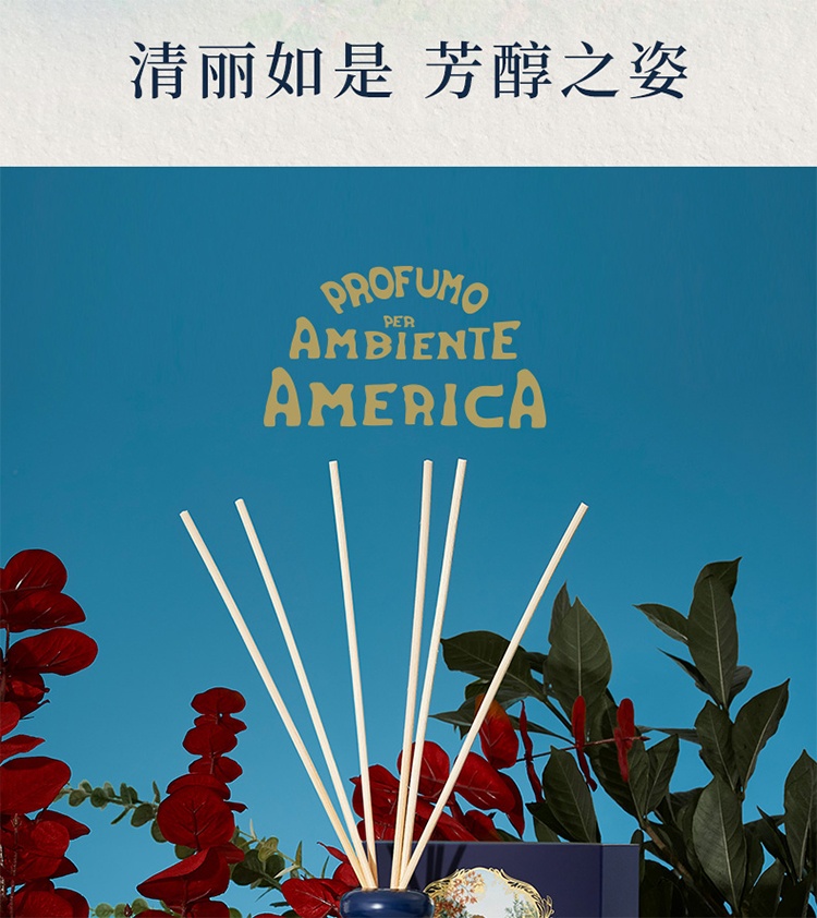 商品Santa Maria Novella|圣玛利亚 无火香薰家居扩香250ml ,价格¥729,第16张图片详细描述