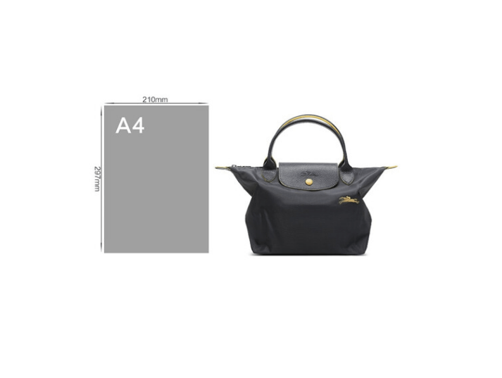 商品Longchamp|珑骧女士织物小号短柄可折叠手提包饺子包70周年款L1621 619（香港仓发货）,价格¥658,第26张图片详细描述
