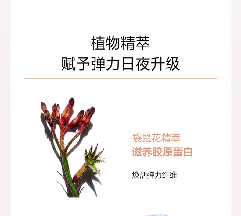 商品[国内直发] Clarins|【焕颜紧致全肤质日夜霜组合】CLARINS娇韵诗 焕颜紧致晚霜 50ml+焕颜弹力日霜弹簧霜 50ml,价格¥949,第9张图片详细描述