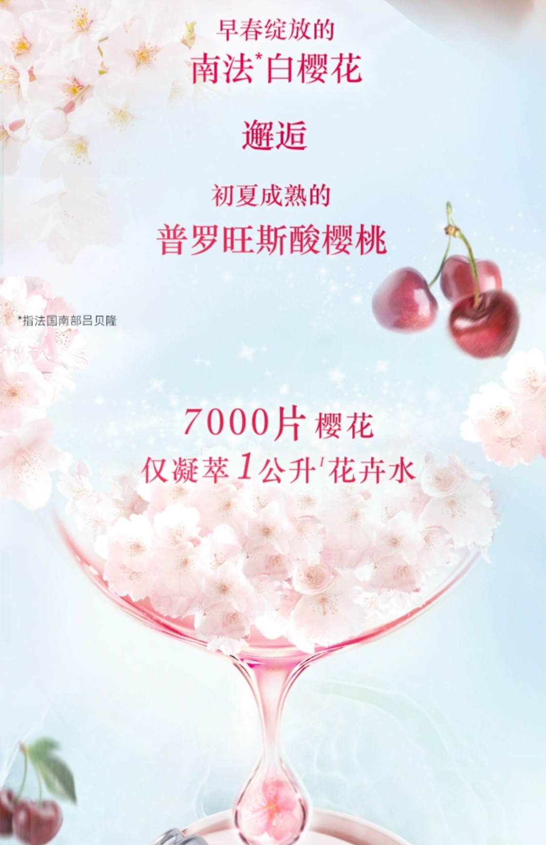 商品L'Occitane|L'OCCITANE 欧舒丹 樱花圣诞3三件套身体乳250ml沐浴露250ml护手霜75ml 闪亮少女肌,价格¥497,第11张图片详细描述