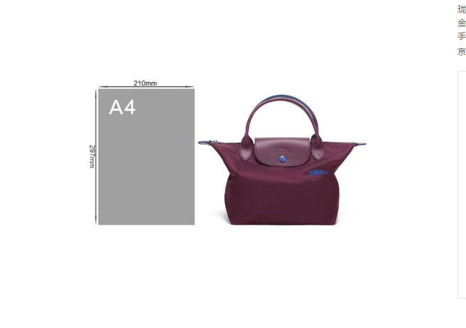 商品Longchamp|珑骧女士织物小号短柄可折叠手提包饺子包70周年款L1621 619（香港仓发货）,价格¥658,第2张图片详细描述