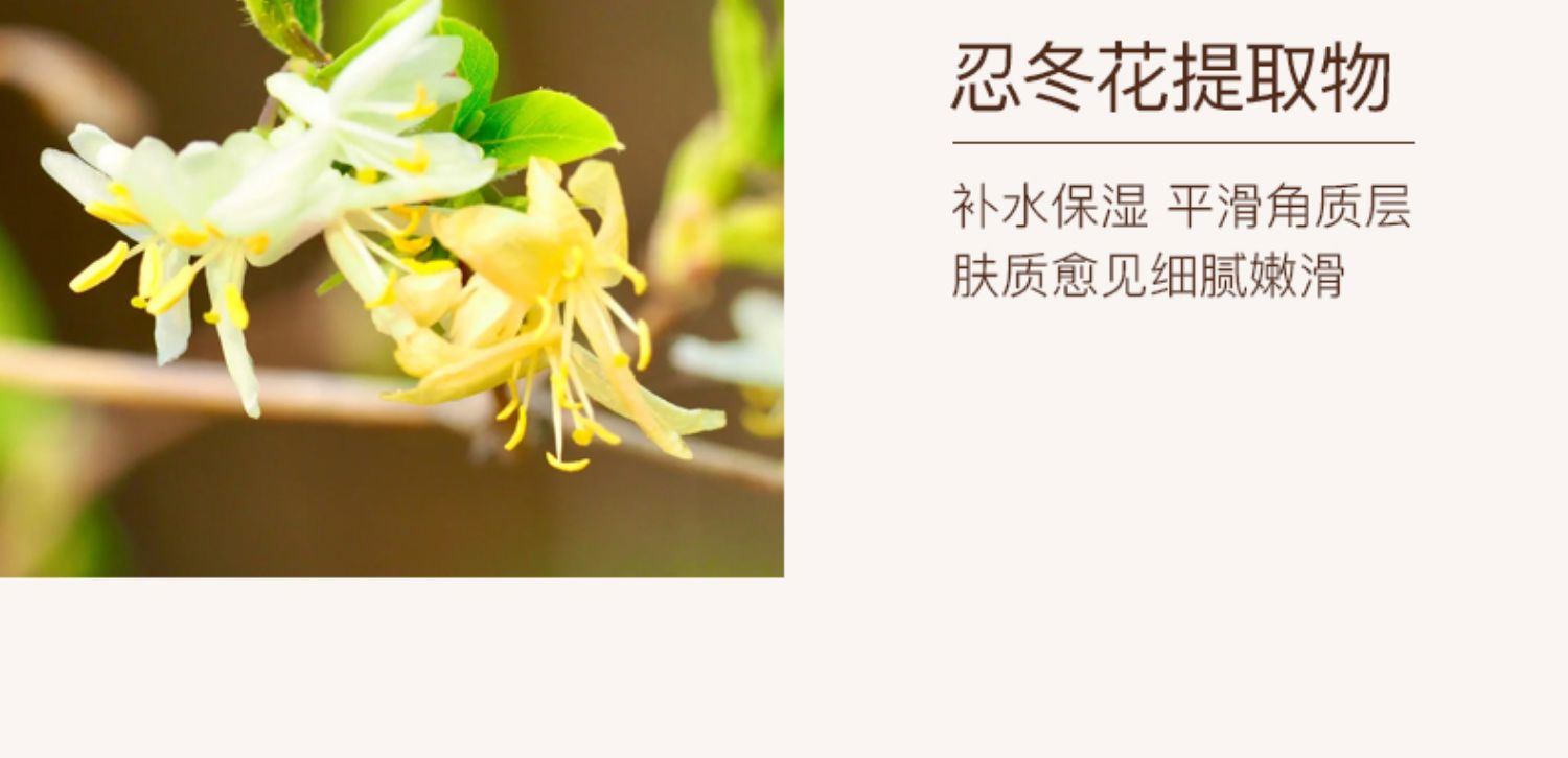 ��商品[国内直发] Sulwhasoo|雪花秀面膜玉璨净颜涂抹撕拉式150ml清洁女角质玉容补水保湿,价格¥154,第2张图片详细描述