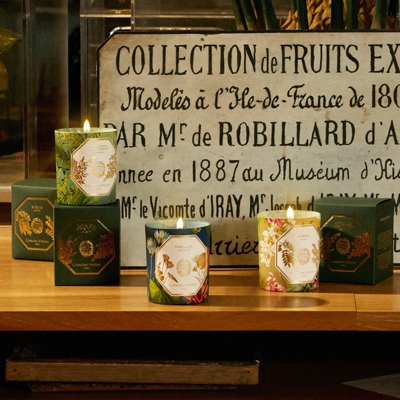 商品Carriere Freres|CARRIERE FRERES 法国植物学家全系列限量版蜡烛185g,价格¥293,第8张图片详细描述