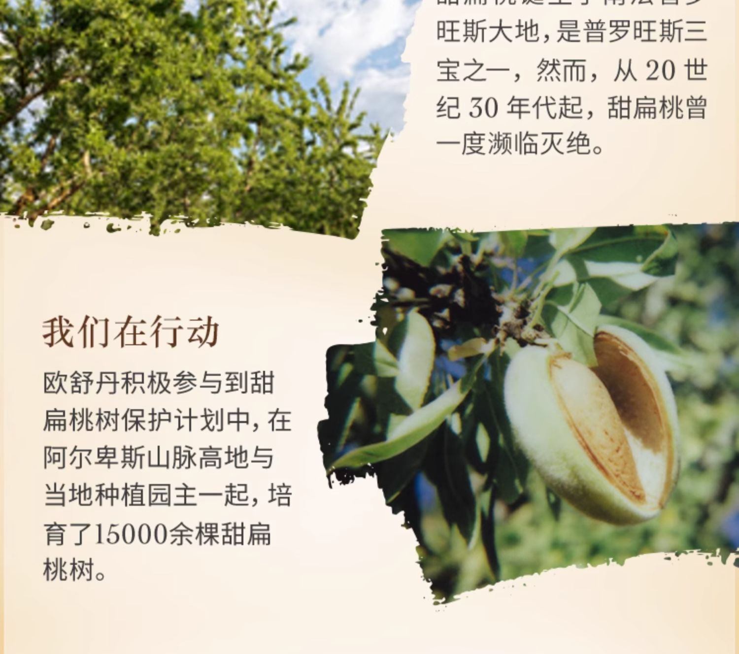 商品【原封正品】 L'Occitane|L'OCCITANE 欧舒丹 甜扁桃去角质磨砂膏 200ml 温和清洁保湿滋润护理,价格¥272,第13张图片详细描述