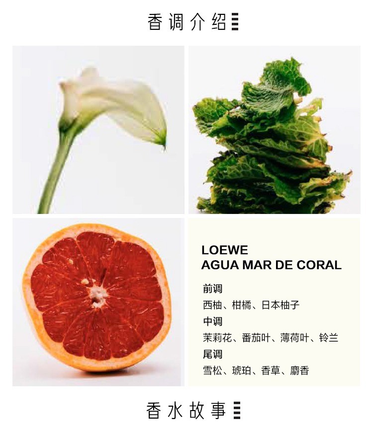 商品Loewe|Loewe罗意威之水彩虹系列男女士香水50-100-150ml EDT淡香水 ,价格¥417,第11张图片详细描述