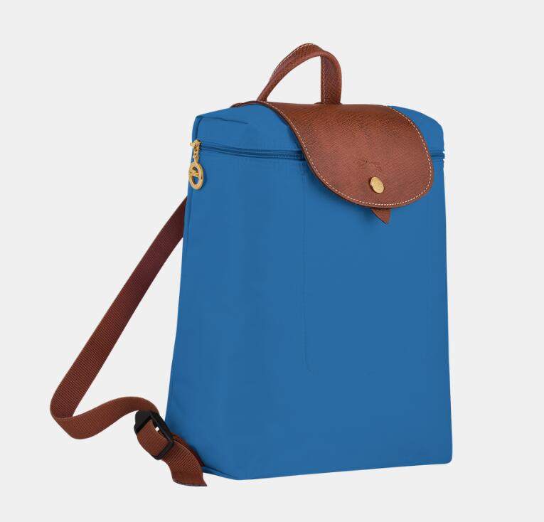 商品Longchamp|珑骧女士多色经典双肩包L1699 089 （香港仓发货）,价格¥665,第8张图片详细描述
