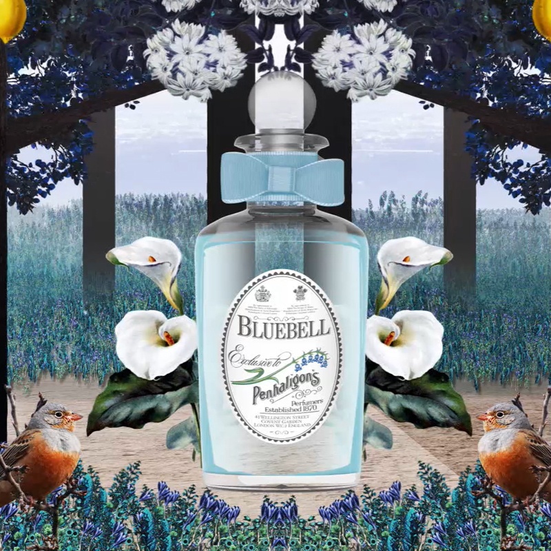 商品Penhaligon's|潘海利根风信子(蓝风铃) 女士淡香水 100ml 绿叶花香调,价格¥1122,第2张图片详细描述