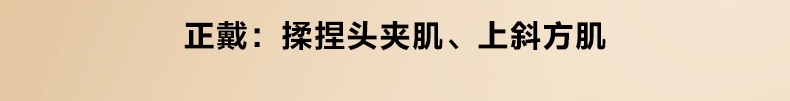 商品[国内直发] SKG|颈椎按摩器N5-2按摩仪护颈U型枕加热敷肩颈揉捏神器,价格¥737,第25张图片详细描述
