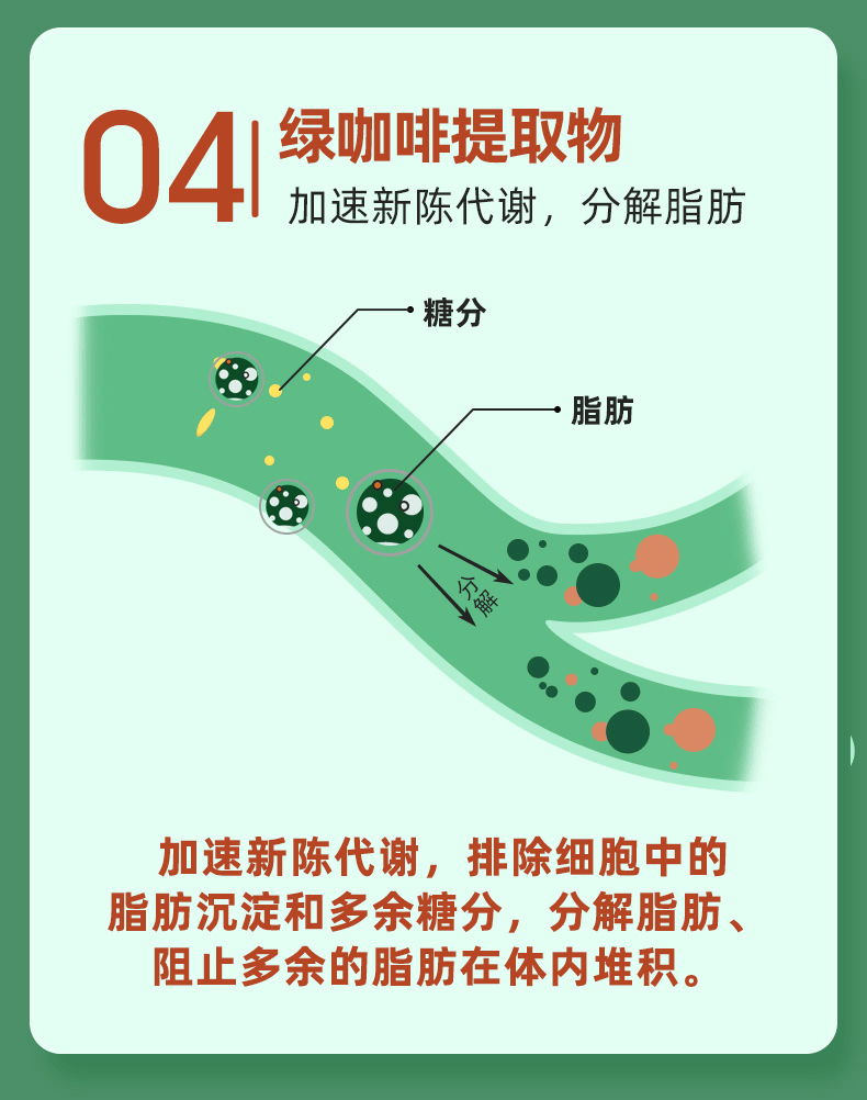 商品Biowell|【国内现货】Biowell润肠片便秘神器排宿便膳食纤维清肠片润肠道90粒,价格¥377,第8张图片详细描述