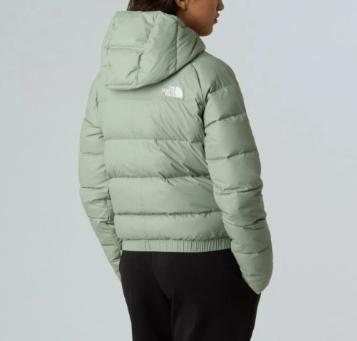 商品The North Face|北面 女款连帽拉链Logo长袖羽绒服（香港仓发货）,价格¥2014,第17张图片详细描述