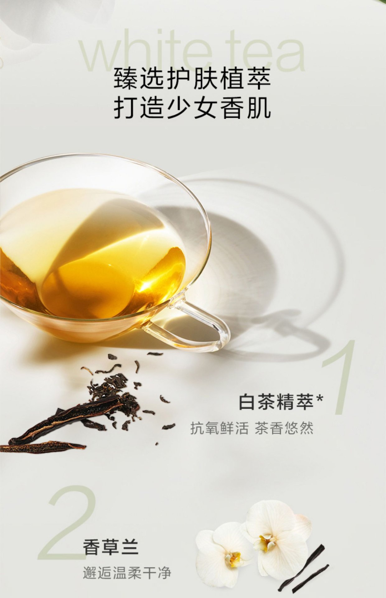 商品Elizabeth Arden|Elizabeth Arden 伊丽莎白雅顿 白茶香氛身体乳身体霜润肤露 400ml 柔润裹肤 抗氧鲜活,价格¥183,第2张图片详细描述