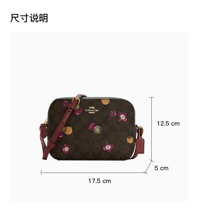 商品[国内直发] Coach|COACH 女印花女士单肩包 C6904IM0SN,价格¥1119,第3张图片详细描述