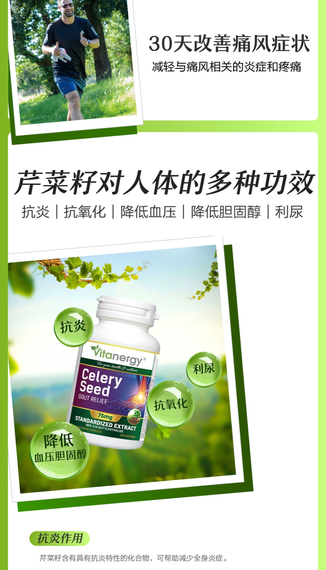 商品[国内直发] Vitanergy|【 2025年7月有效期】加拿大Vitanergy维生能芹菜籽精华150粒/瓶 缓解痛风 降低尿酸 | Celery Seed VCAP 150 ,价格¥96,第6张图片详细描述