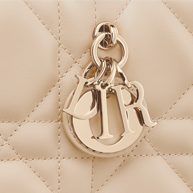商品Dior|迪奥Book Tote系列女士浅褐色牛皮手提包 S5573OWHP_M51U,价格¥18452,第10张图片详细描述