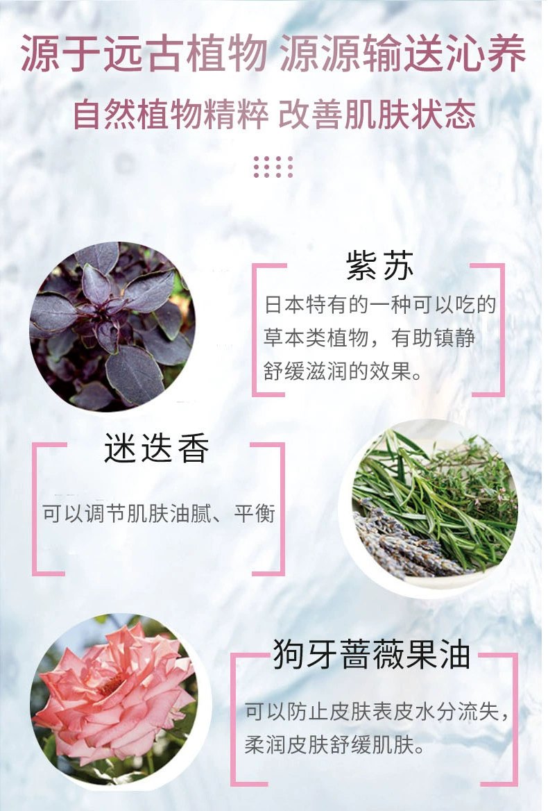 商品[国内直发] DECORTé|【免税店发货】黛珂 植物欣韵美白化妆水乳液多重防晒乳组合200ml+200ml+60ml,价格¥570,第2张图片详细描述