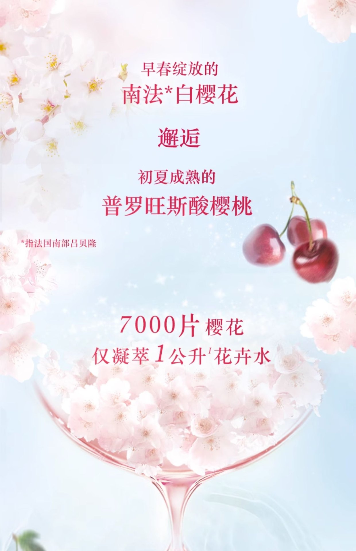 商品L'Occitane|L'OCCITANE 欧舒丹 植物滋养身体乳身体油 250/500ml 保湿滋润 美体紧致,价格¥176,第7张图片详细描述