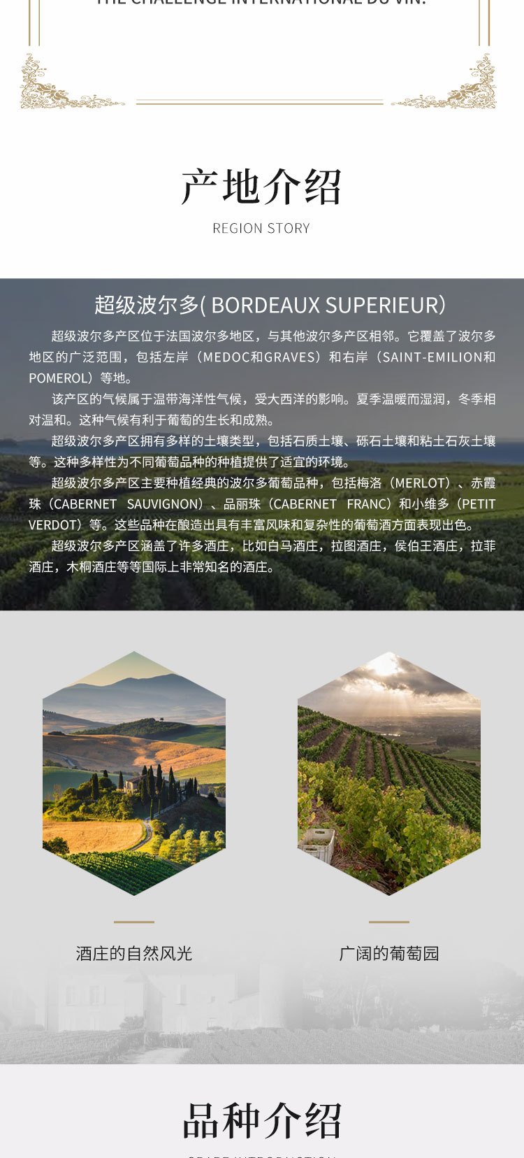 商品[国内直发] Château Le Rey Sud|超级波尔多勒雷南城堡红葡萄酒,价格¥157,第4张图片详细描述