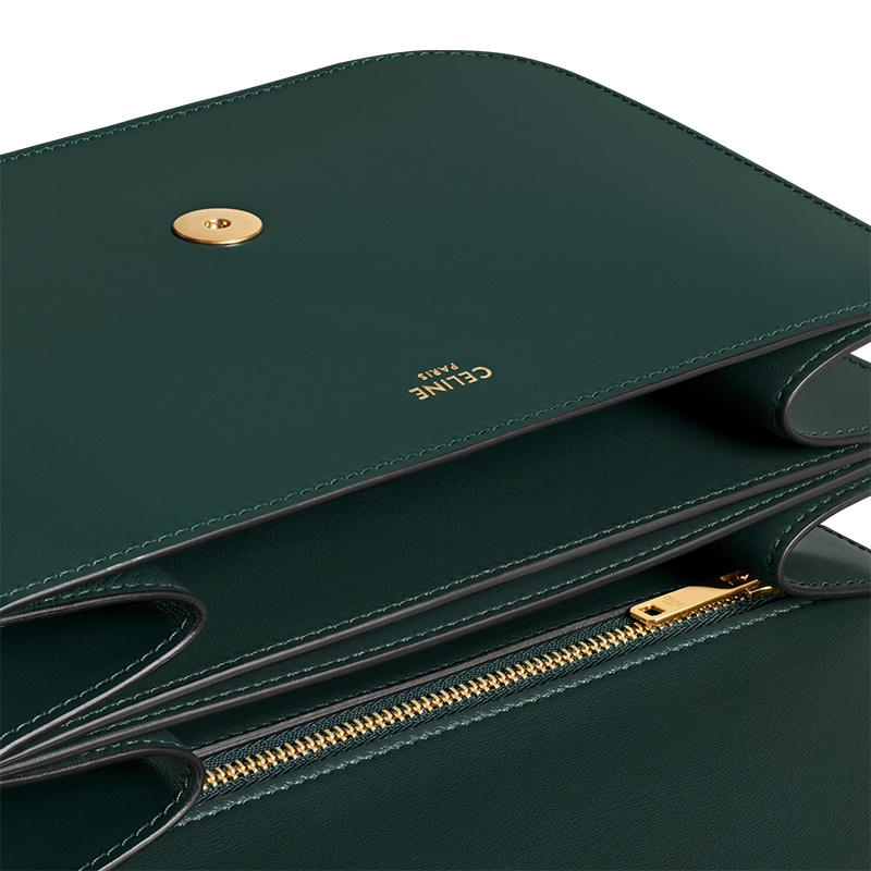 商品Celine|赛琳 23新款 COLLEGE女士中号色亮泽小牛皮金属扣链条斜挎包 113583BF4.31AN,价格¥23342,第3张图片详细描述