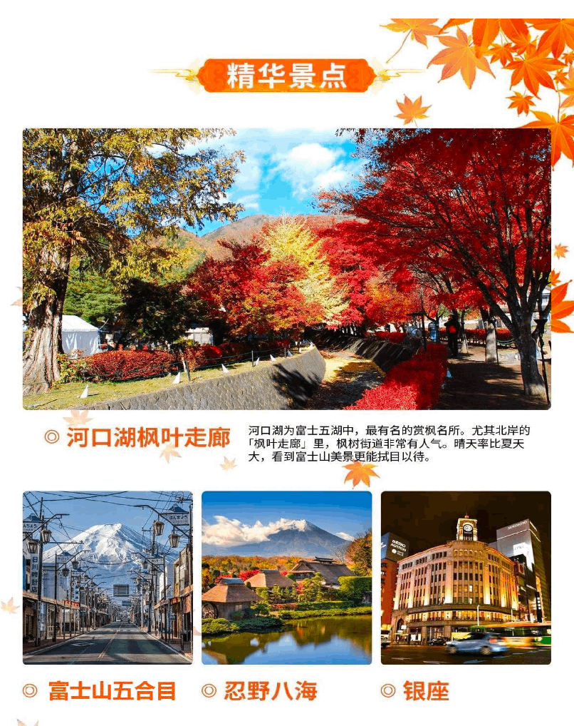 商品[国内直发] Beyond Global Travel|和风迎秋 本州经典 日本本州 双古都 丹枫6日游 下单后由别样微信客服对接,价格¥4876,第13张图片详细描述