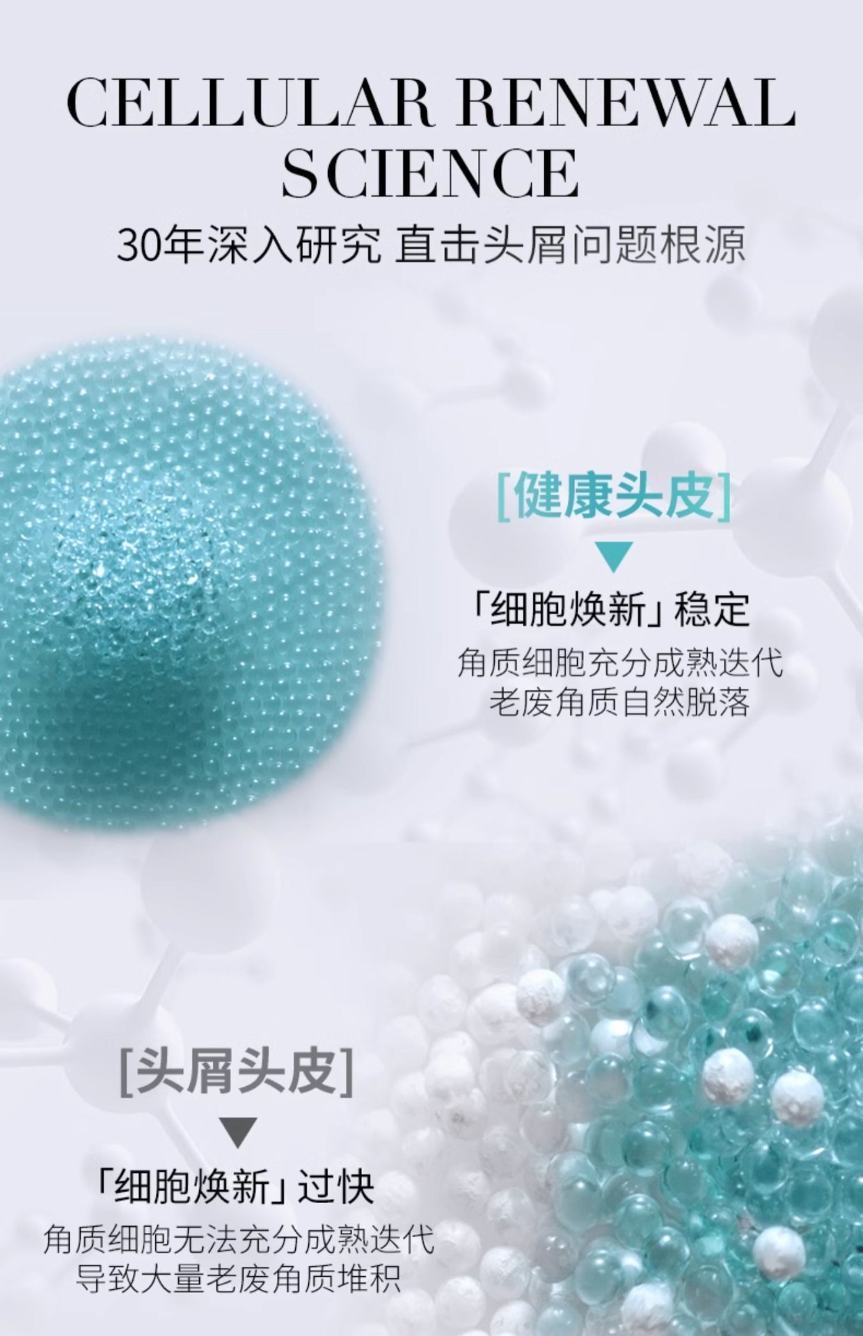 商品Kérastase|Kérastase卡诗 肌源焕新去屑净�透自在瓶洗发水 250ml 去屑深层清洁水润,价格¥180,第14张图片详细描述