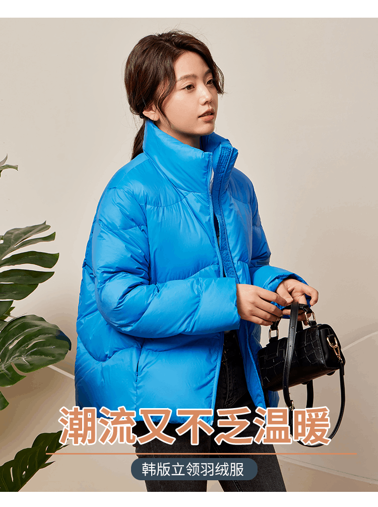 商品[国内直发] ROBINHOOD|罗宾汉立领轻薄时尚羽绒服-R228Y5419-蓝色,价格¥281,第5张图片详细描述