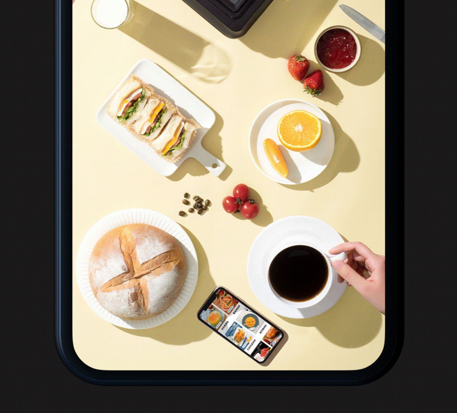 商品[国内直发] TOKIT|TOKIT智能电烤箱,价格¥2761,第23张图片详细描述