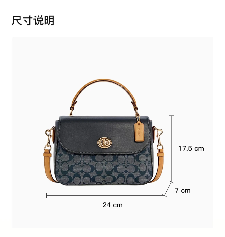 商品Coach|COACH 女士拼色手提单肩包 C4921IMDEI,价格¥1337,第3张图片详细描述