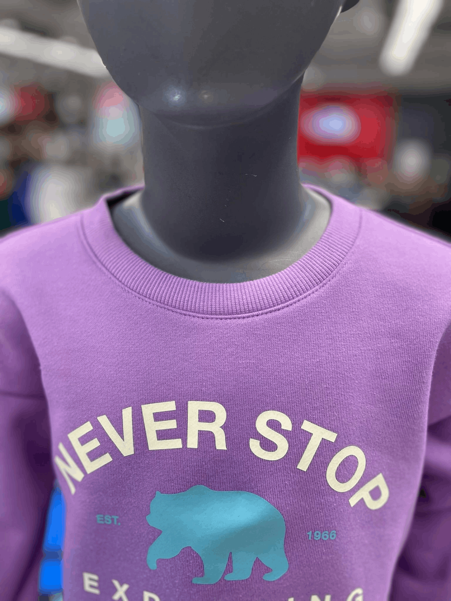 商品The North Face|【Brilliant|包邮包税】北面 NM5MN56U 儿童 长袖T恤 SWEATSHIRT 衬衣 K'S BALBOA SWEATSHIRT,价格¥380,第6张图片详细描述