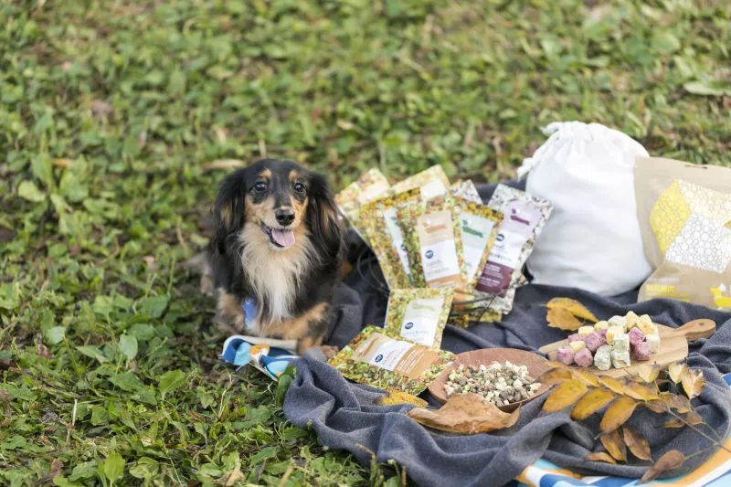 商品[国内直发] DoggyWillie|均衡冻干主食_紫薯番茄牛肉（犬适用）-（购800g装即赠更多）|Main Meal Series,价格¥24,第35张图片详细描述