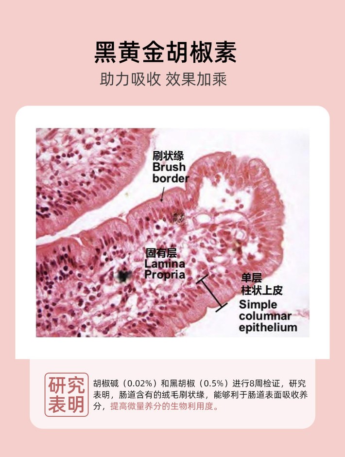 商品[国内直发] Biowell|【减脂组合】柑橘多酚211k+柠檬多酚纤腿片 餐后阻断脂肪碳水淀粉阻断剂抗油膳食嗨吃片,价格¥372,第6张图片详细描述