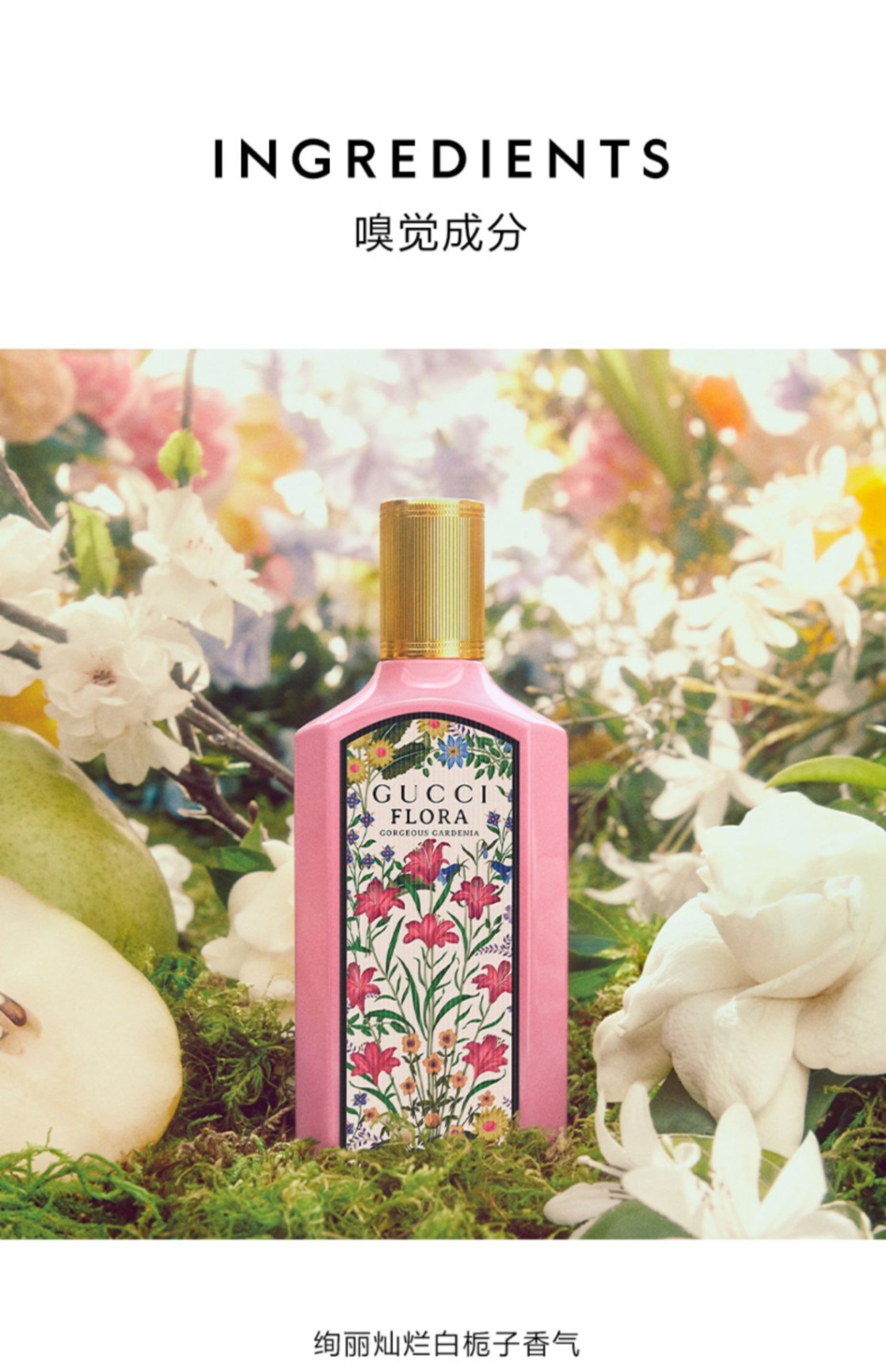 商品Gucci|GUCCI古驰 绮梦栀子香型 绮梦茉莉女士香水花香调 50/100ml,价格¥475,第6张图片详细描述