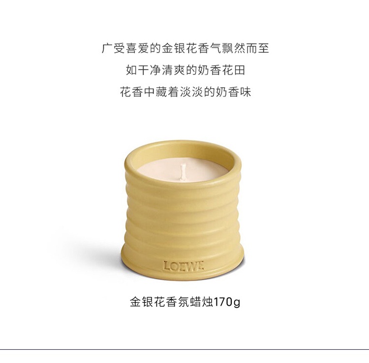 商品Loewe|Loewe罗意威香氛蜡烛170g-610g 全系列,价格¥738,第7张图片详细描述