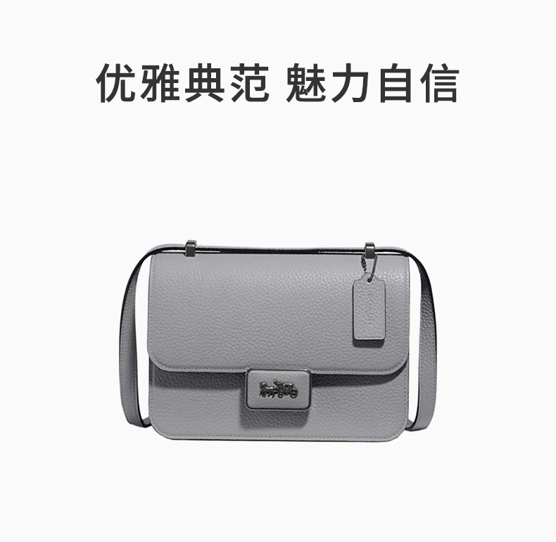 商品[国内直发] Coach|COACH 女士ALIE系列深灰色皮革中号单肩斜挎包 3928V5GRT,价格¥4184,第1张图片详细描述